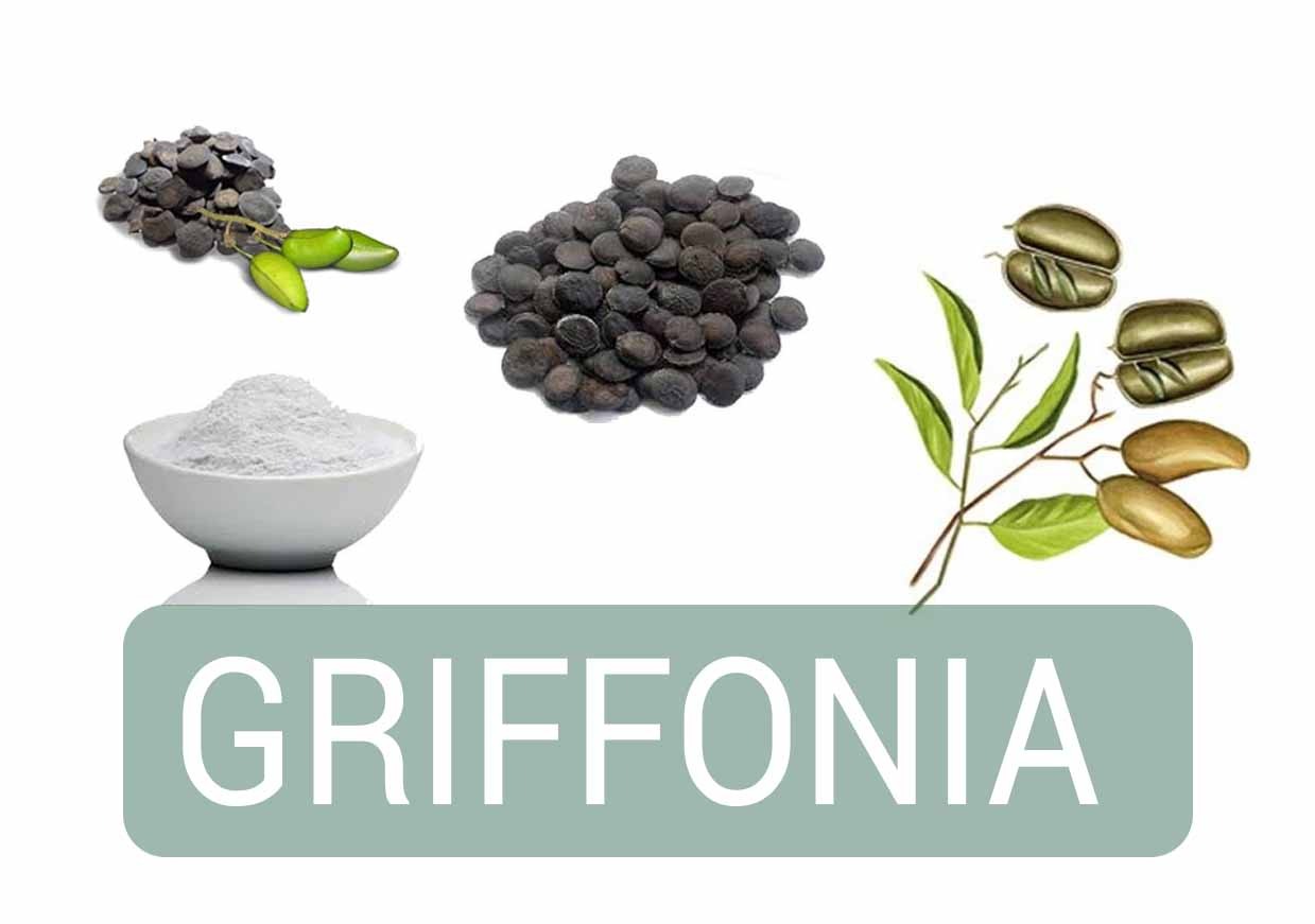 Griffonia proprietà, a cosa serve ed effetti collaterali